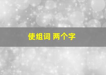 使组词 两个字